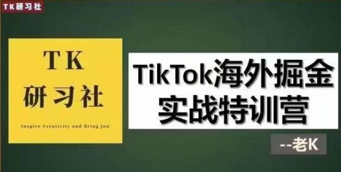 TikTok海外掘金实操训练营（tiktok赚钱教程）